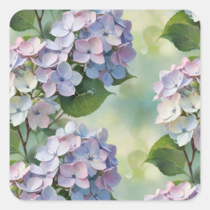 Hydrangea, Hortensia-Blume Quadratischer Aufkleber