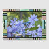 Hydrangea hybrida "Dance Party" [Magnet-Karte] Magnetkarte (Vorderseite)