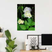 Hydrangea im Wald Poster (Heimbüro)