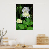 Hydrangea im Wald Poster (Küche)