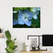 Hydrangea in Bloom Poster (Heimbüro)