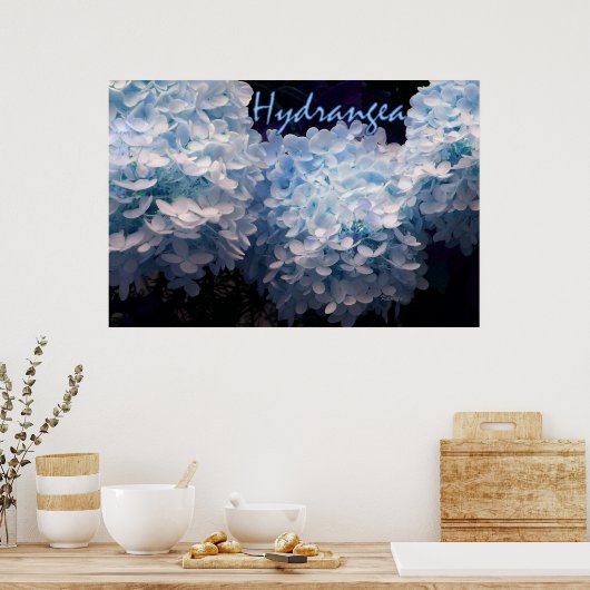 Hydrangea in Blue Poster (Küche)