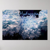 Hydrangea in Blue Poster (Vorne)