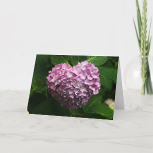 Hydrangea Karte