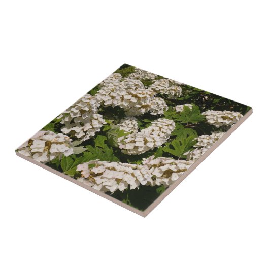 Hydrangea-Keramik Fliese (Seite)