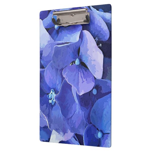 HYDRANGEA KLEMMBRETT (Links)