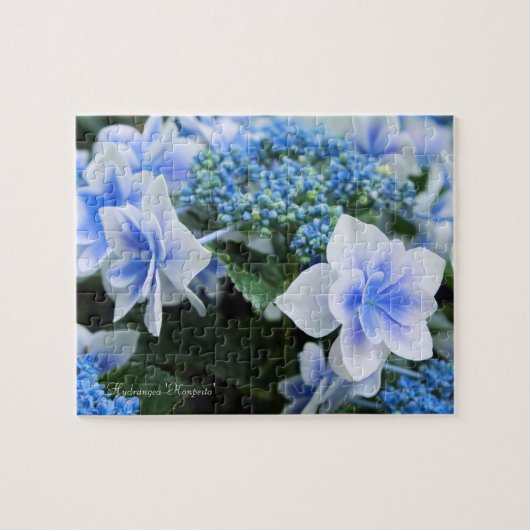 Hydrangea "Konpeito" [Jigsaw puzzle: 110P] Puzzle (Horizontal)