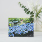 Hydrangea "Konpeito" [Postkarte] Postkarte (Stehend Vorderseite)