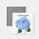 Hydrangea Kühlschrank Magnet (Vorderseite/Rückseite)
