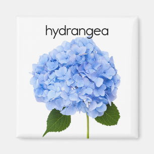 Hydrangea Kühlschrank Magnet