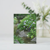 Hydrangea-Landschaft:Postkarte Postkarte (Stehend Vorderseite)