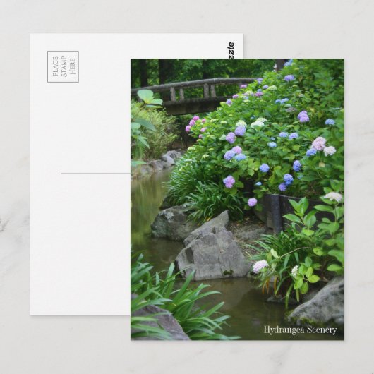 Hydrangea-Landschaft:Postkarte Postkarte (Vorne/Hinten)