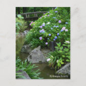 Hydrangea-Landschaft:Postkarte Postkarte (Vorderseite)