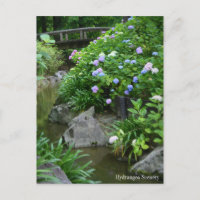 Hydrangea-Landschaft:Postkarte
