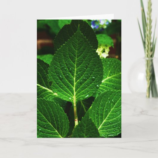 "Hydrangea Leaves" Karte (Vorderseite)