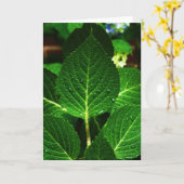 "Hydrangea Leaves" Karte (Gelbe Blume)