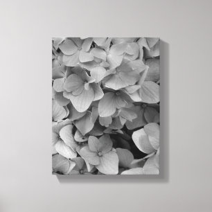 Hydrangea Leinwanddruck