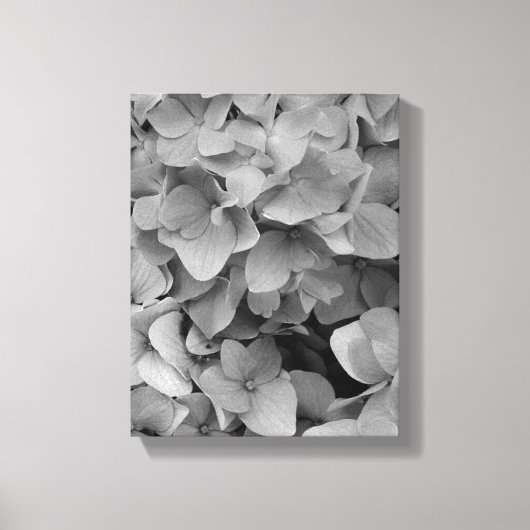 Hydrangea Leinwanddruck (Vorderseite)