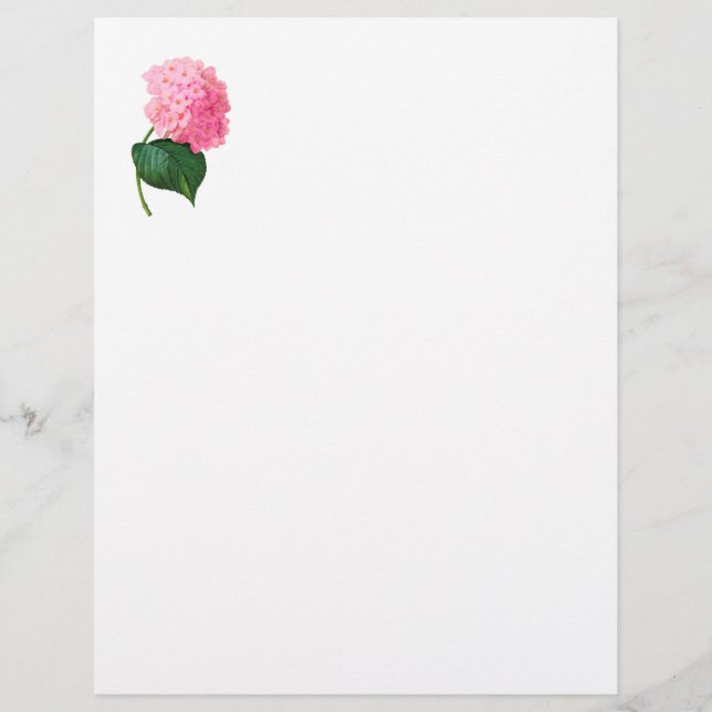 Hydrangea Letterhead (Vorderseite)