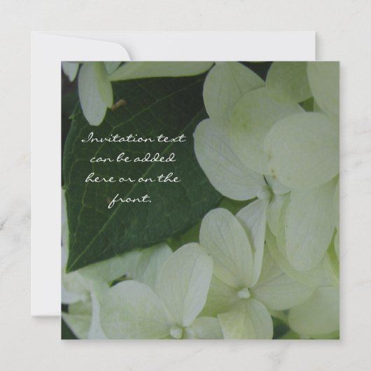 Hydrangea-Liebe Einladung (Rückseite)