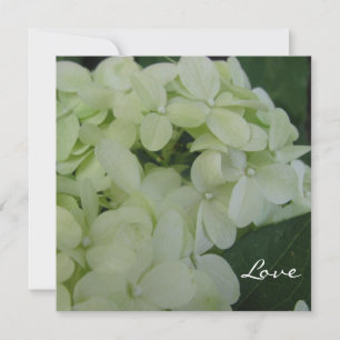 Hydrangea-Liebe Einladung