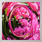 Hydrangea-Liebe... Poster (Vorne)