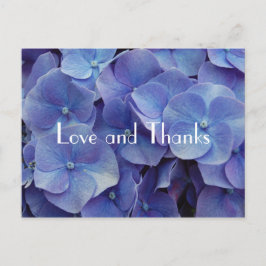 Hydrangea Lila Vielen Dank Postcard Postkarte