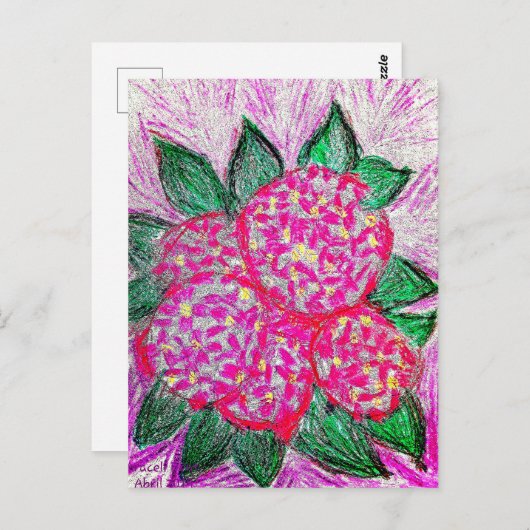 Hydrangea macrophylla postkarte (Vorne/Hinten)