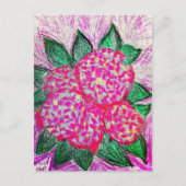 Hydrangea macrophylla postkarte (Vorderseite)