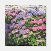 Hydrangea Magnet (Vorne)