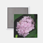 Hydrangea Magnet (Vorderseite/Rückseite)