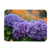 Hydrangea Magnet (Horizontal)