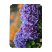 Hydrangea Magnet (Vertikal)