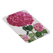 Hydrangea Magnet (Rechte Seite)