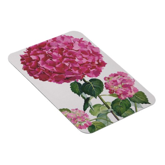 Hydrangea Magnet (Rechte Seite)