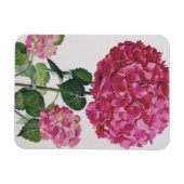 Hydrangea Magnet (Horizontal)