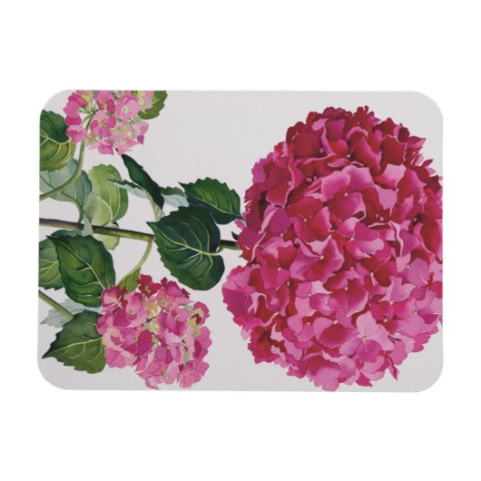 Hydrangea Magnet (Horizontal)
