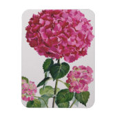 Hydrangea Magnet (Vertikal)