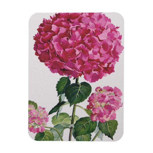 Hydrangea Magnet (Vertikal)