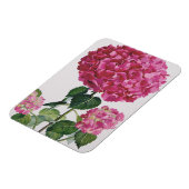 Hydrangea Magnet (Linke Seite)