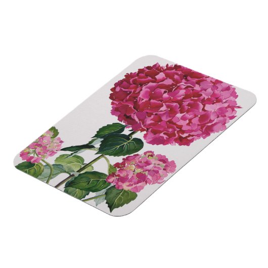 Hydrangea Magnet (Linke Seite)