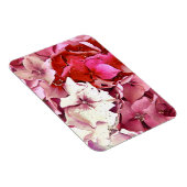 HYDRANGEA MAGNET (Rechte Seite)