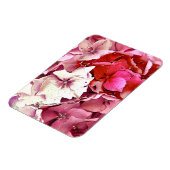 HYDRANGEA MAGNET (Linke Seite)