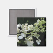 Hydrangea Magnet (Vorderseite/Rückseite)