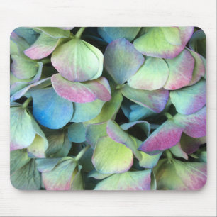 HYDRANGEA mehrfarbige Blätter — Mousepad