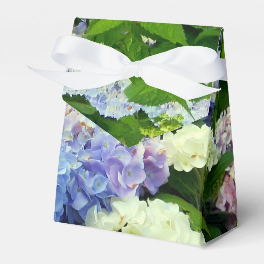 Hydrangea Mix-GASTGESCHENK BOX, Zeltstil Geschenkschachtel (Vorderseite)