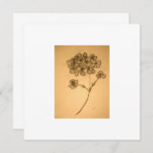 Hydrangea mutierte Einladung/Grußkarte Einladung (Vorne/Hinten)