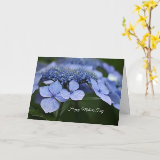 Hydrangea-Muttertagskarte Karte (Gelbe Blume)