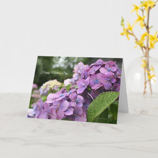 Hydrangea-Muttertagskarte Karte (Gelbe Blume)