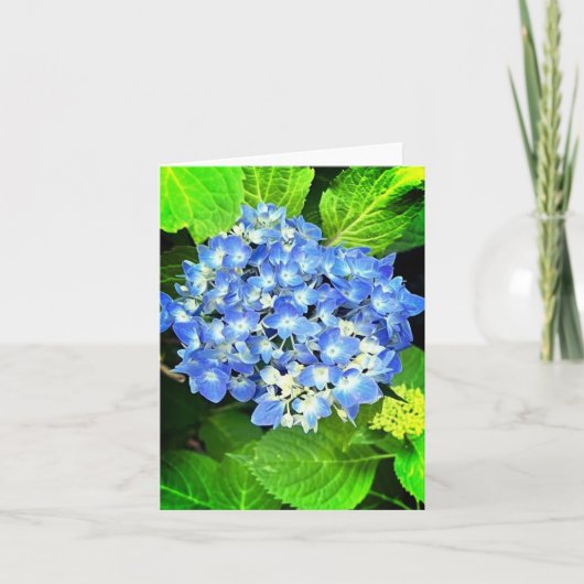 Hydrangea Note Card (Vorderseite)